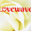 Lovewaves