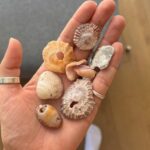 Handje schelpen valt bij thuiskomst toch een beetje tegen