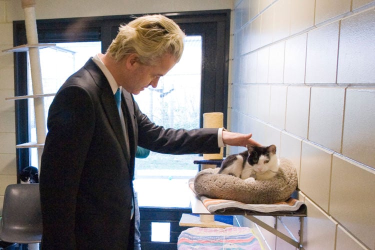 Geert Wilders: “Ik ben nu 62, maar nog steeds een beetje actief in de politiek”