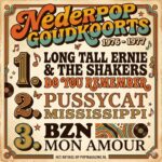 NEDERPOP GOUDKOORTS TOP 3