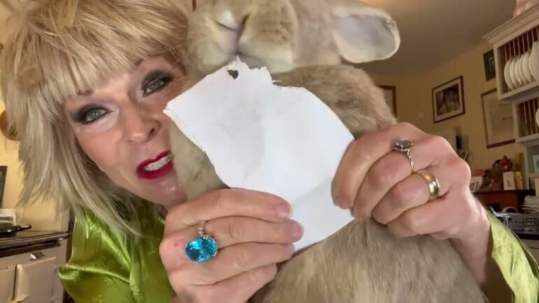 Toy and Robert – Upbeat Moments