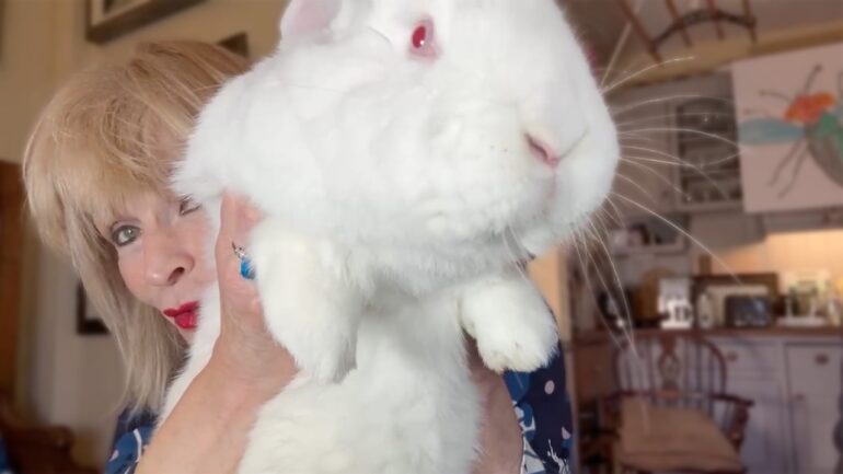 A generous donation from Fripp