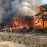 Kabinet overweegt totaalverbod op natuur: “Asfalt is gewoon veel brandveiliger”