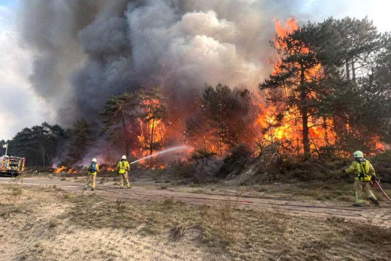 Kabinet overweegt totaalverbod op natuur: “Asfalt is gewoon veel brandveiliger”