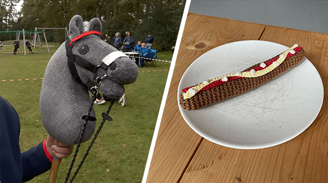 Hobbyhorse gevonden in hobbyfrikandel