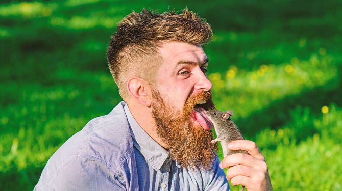 Jeffrey blijft na eigen onderzoek naar hantavirus gewoon aan muizen likken
