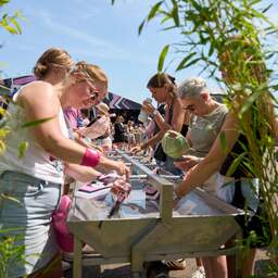 Nevelkanonnen en sponzen: maatregelen tegen hitte bij festivals en concerten
