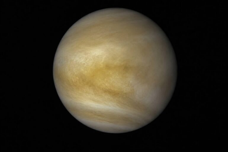 Kabinet wil stikstofprobleem Venus aanpakken