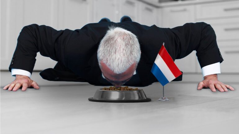 Worden we wereldkampioen? Duitse econoom kroop naar het Nederlandse bakje met kattenvoer