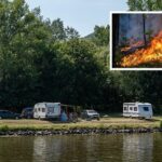 ​Impopulaire vakantiebestemming steekt ook maar wat bossen aan om toeristen te trekken