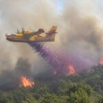 Brandweer Frankrijk gaat bosbrandlucht te lijf met lavendelsnippers