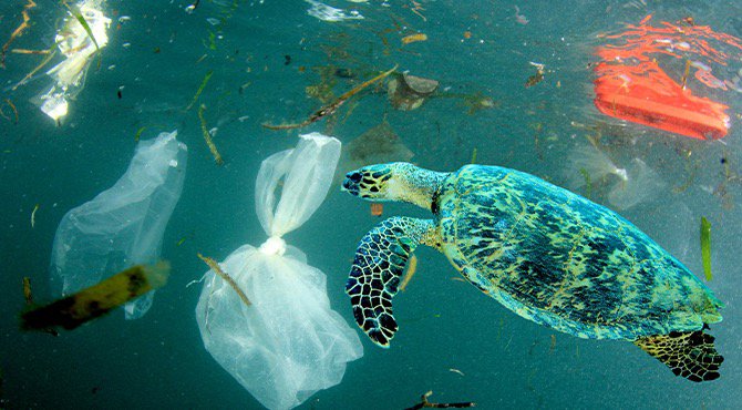 Kinky schildpad vindt het soms juist fijn om te stikken in gedumpt plastic