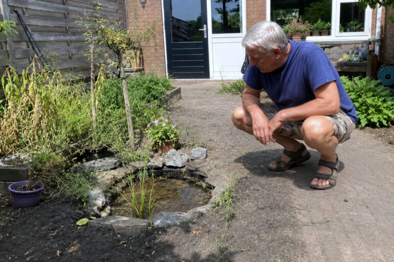 Waterpeil Utrechtse tuinvijver extreem laag: “Ik vind het vooral zielig voor de vissen”