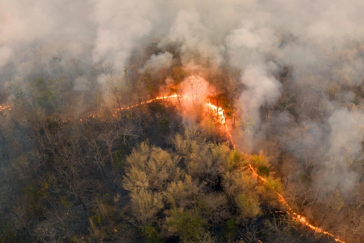 Oorzaak natuurbrand Hoge Venen gevonden: wrijving op de taalgrens