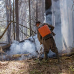 Raad van State legt natuurbrand in Limburg stil wegens ontbrekende houtstookvergunning