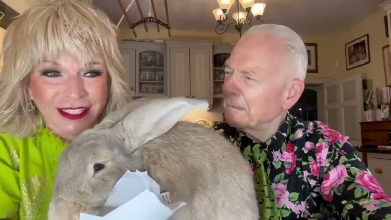 Toyah & Robert's Upbeat Moments: Saturday 20 June 2026