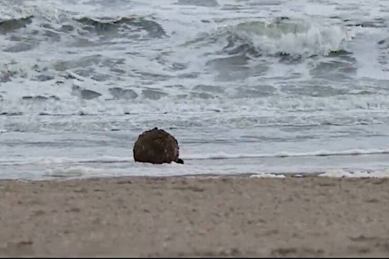Stalen bal die strand Scheveningen urenlang platlegde na verhoor heengezonden