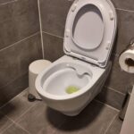 Steeds meer Nederlanders hebben genderneutraal toilet in huis