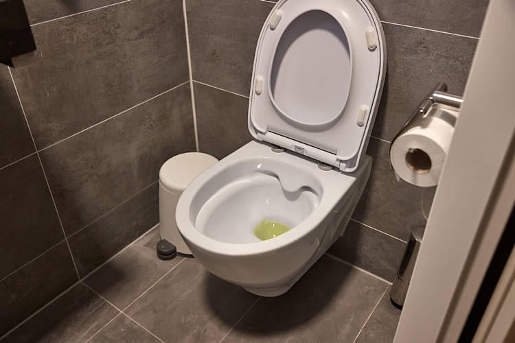 Steeds meer Nederlanders hebben genderneutraal toilet in huis